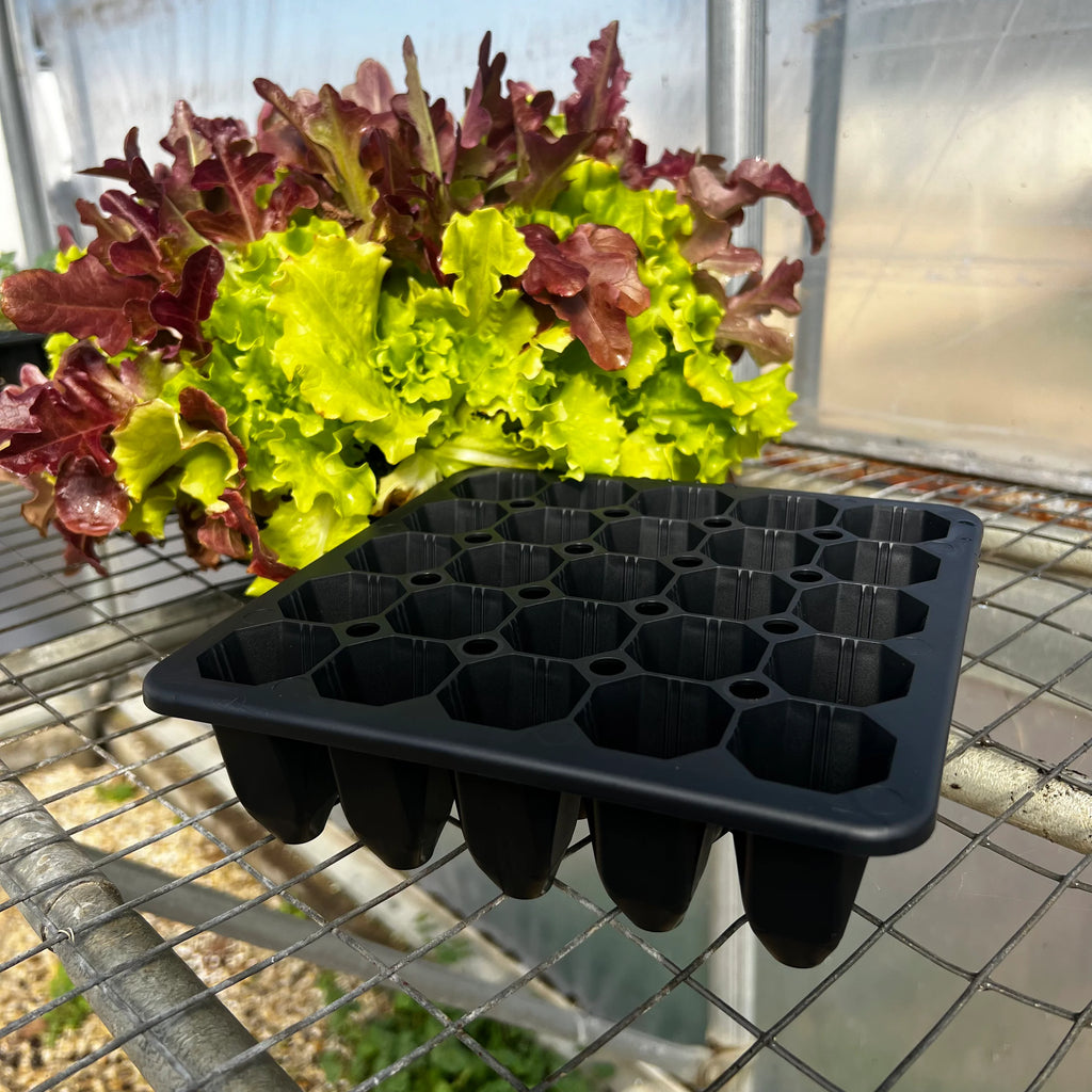 25 Cell Seed Starting Tray | 1 Pack