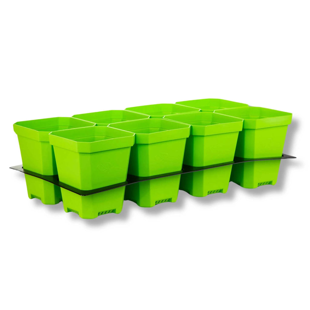 5" Nursery Pots with Insert Tray | Green / 2 Inserts 16 Pots