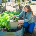 Vego FlexTrug - 8 Gallon Tub | Sage Green