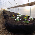 Grow Bags - 100 Gallon | 1 Grow Bag