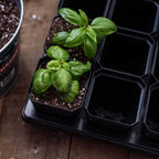 3.3" Heavy Duty Seed Starting Pots | Black / 36