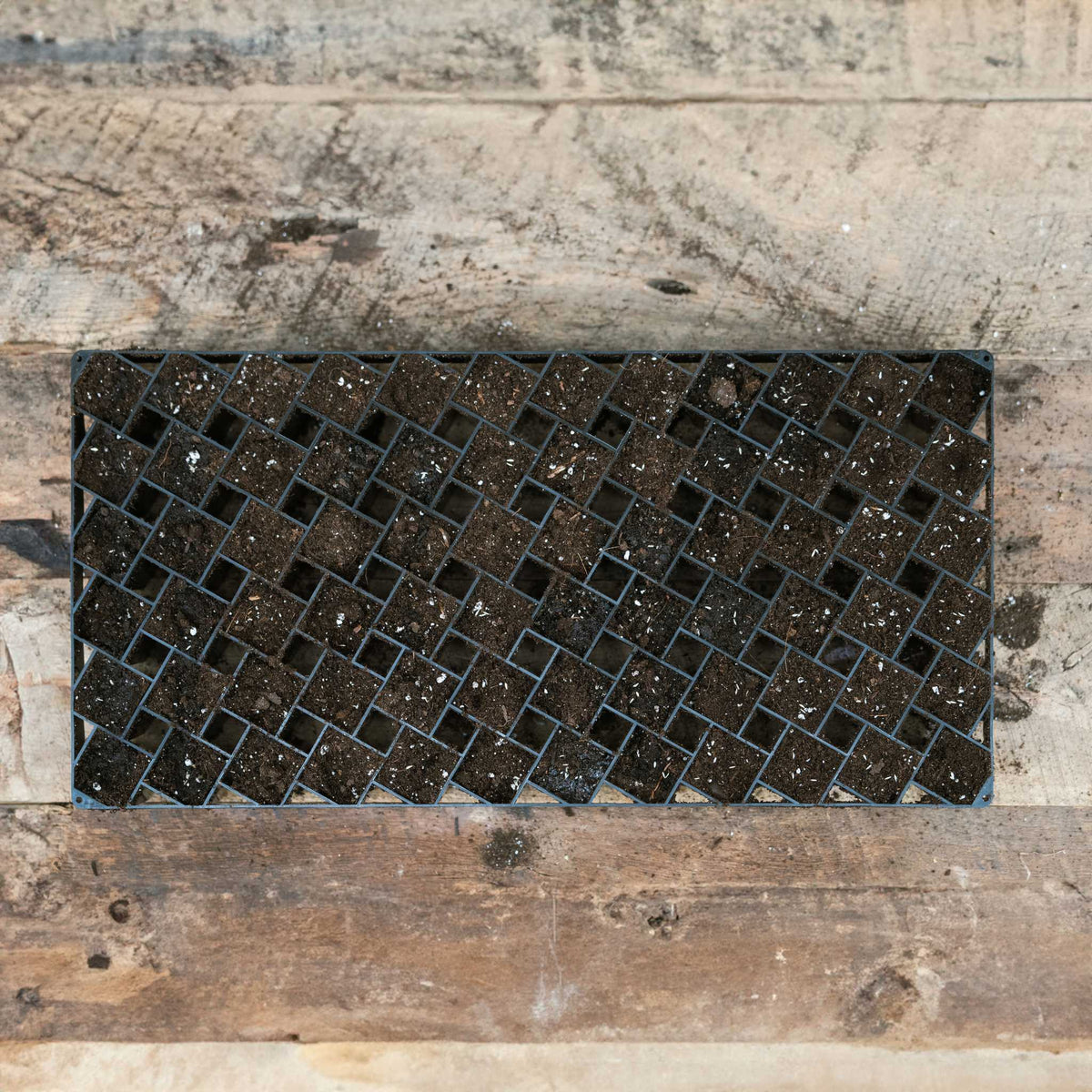 Air Prune Heavy Duty Propagation Tray - 72 Cell | 1 Tray / Black