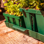 Bottom Watering Tray - 10 in x 20 in | 8 Pack