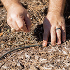 Branch Hose for Irrigation Kit – 20ft