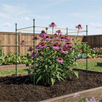 Garden Stake - 4 Pack