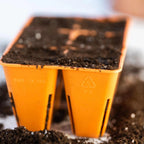 6 Cell Plug Tray Inserts | 12 Pack / Orange