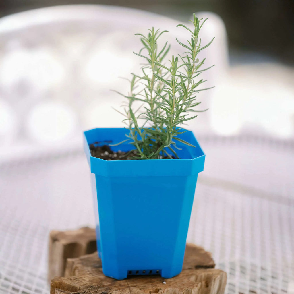 5" Nursery Pots with Insert Tray | Green / 2 Inserts 16 Pots