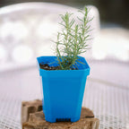 5" Nursery Pots with Insert Tray | Green / 2 Inserts 16 Pots