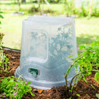 Dome Cloche Kit