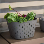 Vego FlexTrug Strainer Basket - 8 Gallon
