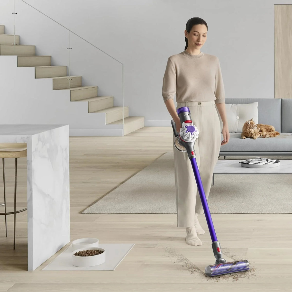 V8 Cordless Vacuum Cleaner