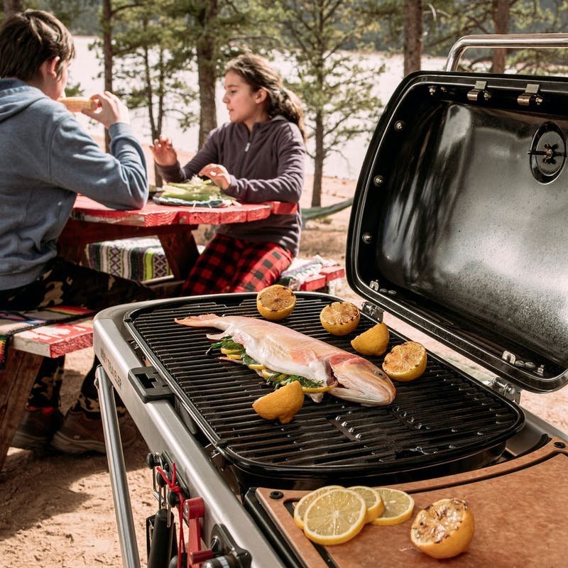 WEBER TRAVELER PORTABLE GAS GRILL