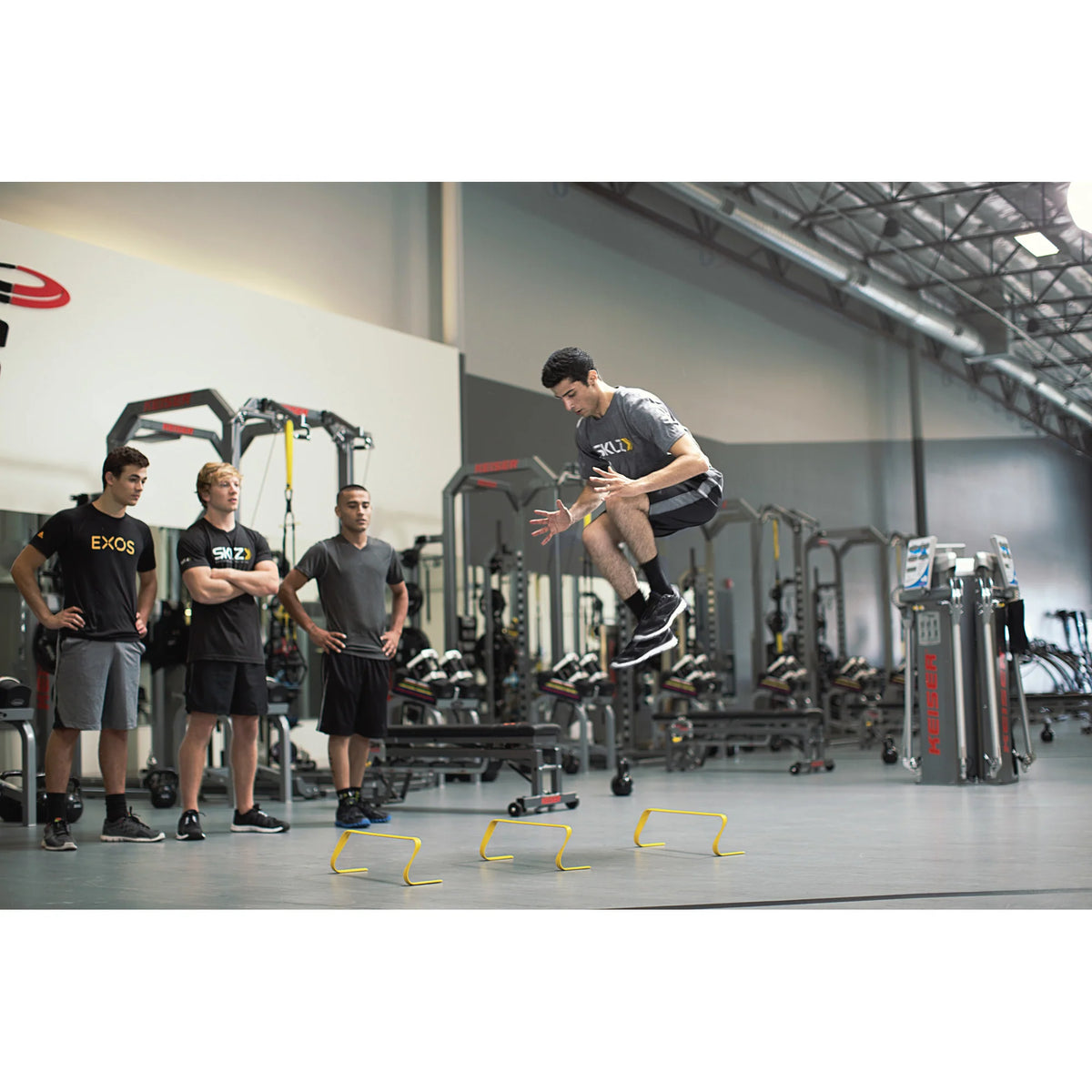6X Hurdles