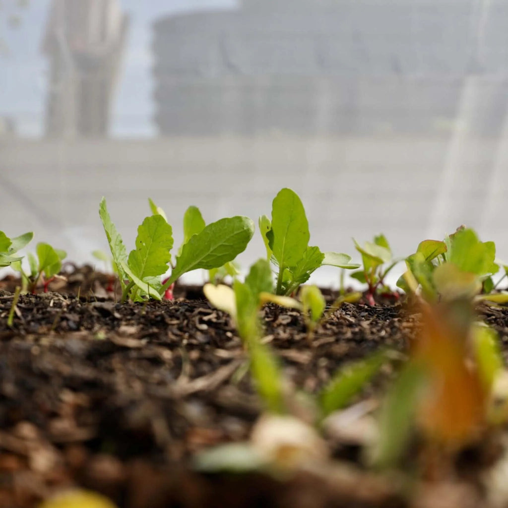 Heavy-Duty Insect Netting | 6.5' / 20'