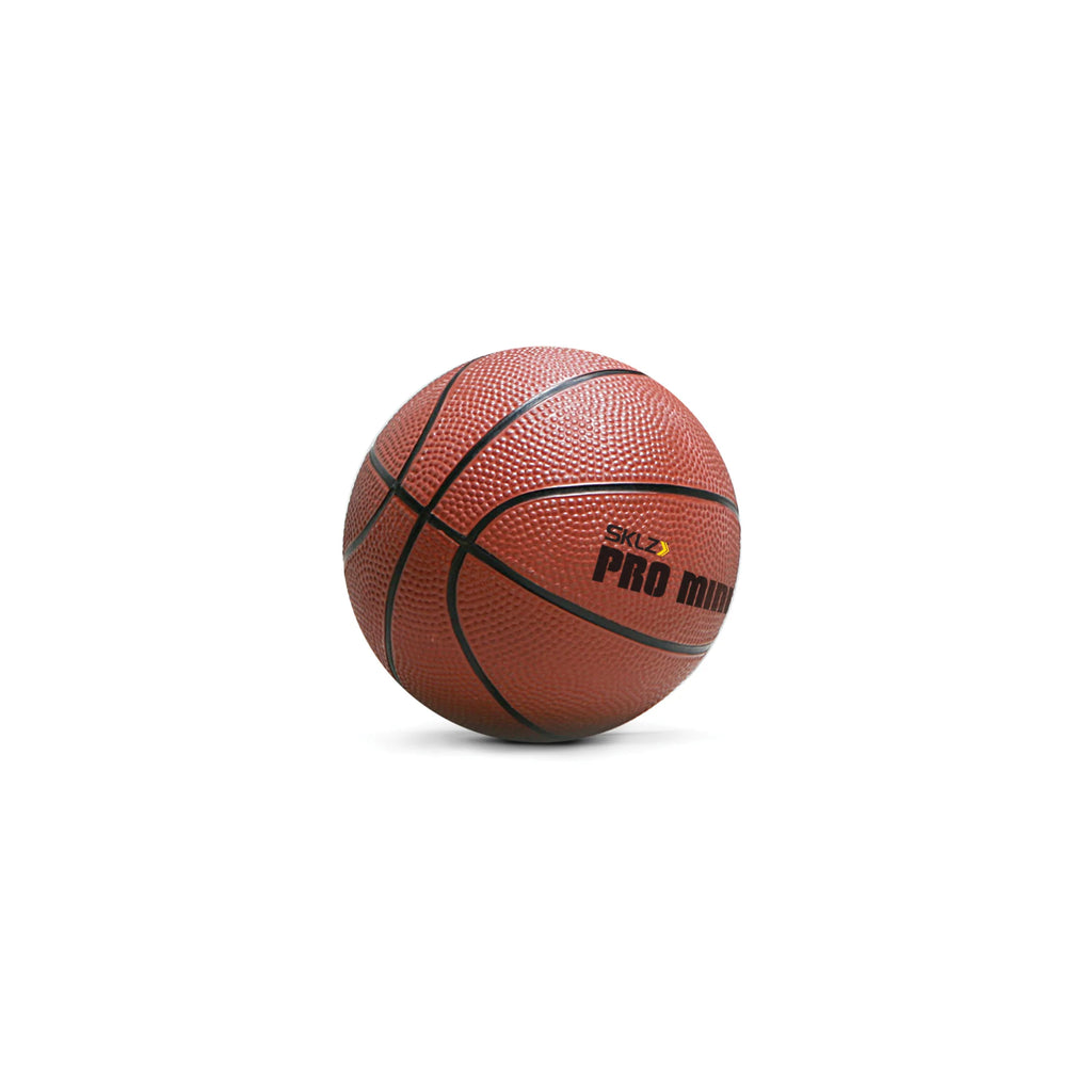 Pro Mini Hoop XL