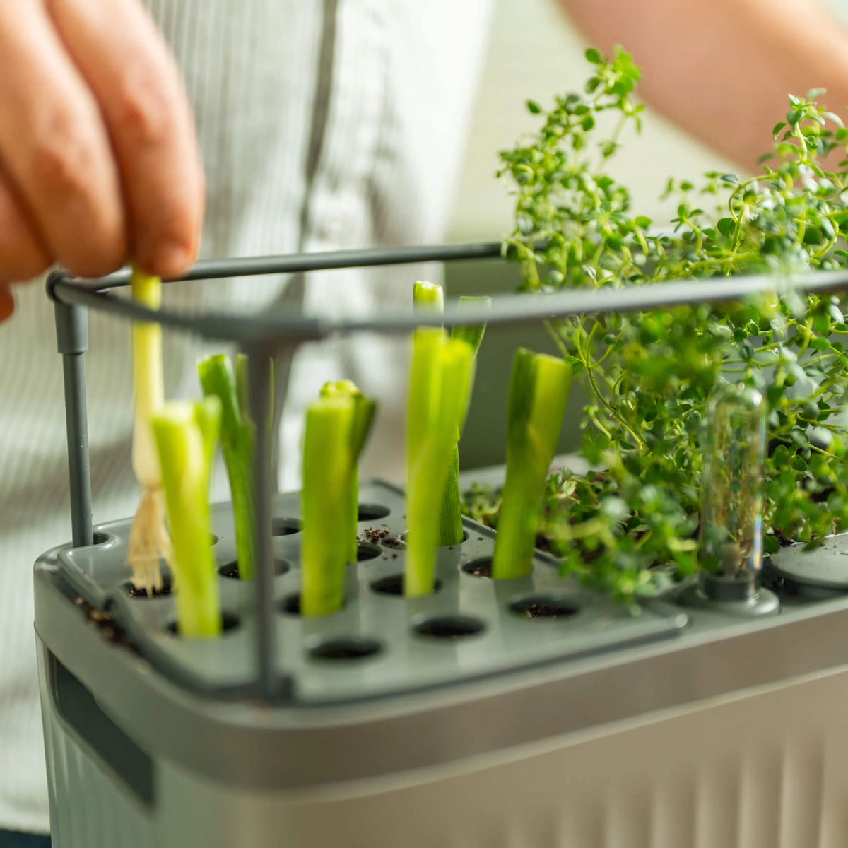 EZ Self-Watering Herb Planter with Trellis Gen 2 | Sage Green