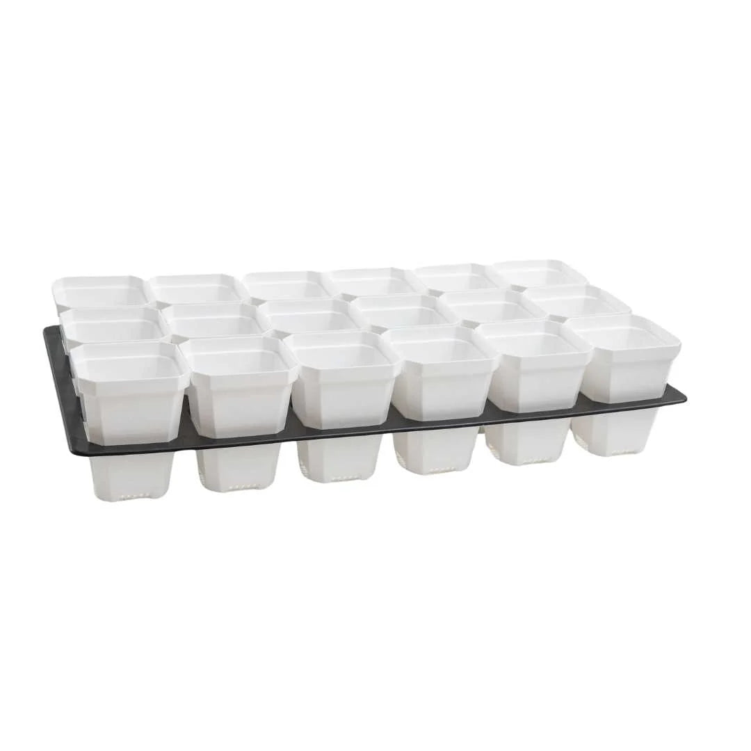 3.3" Heavy Duty Seed Starting Pots with Inserts | White / 36 pots - 2 inserts