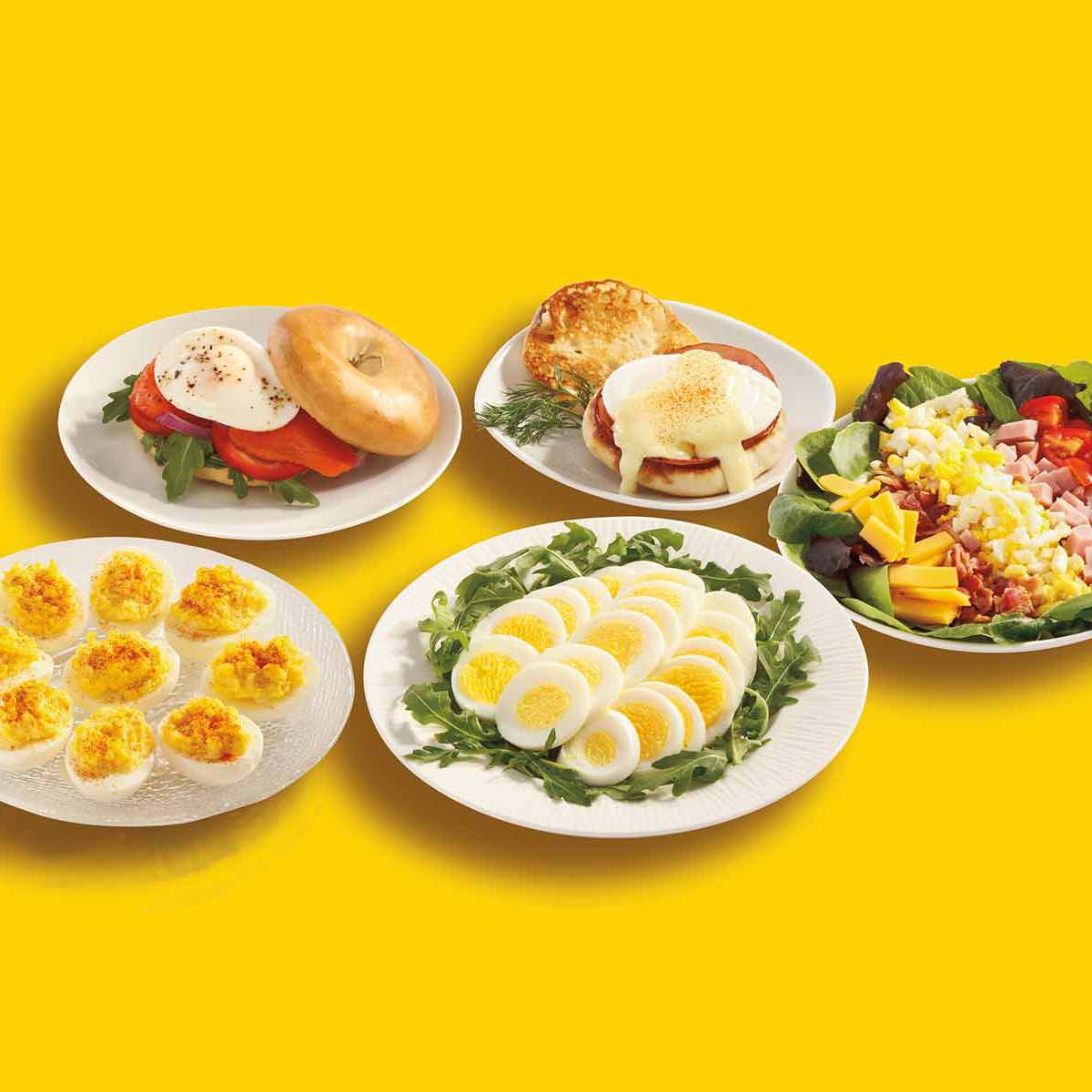 Hamilton Beach Egg Cooker with Built-In Timer, Poaching Tray