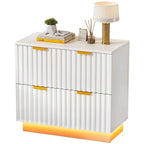 Moasis Lateral Filing Cabinet with LED Lighting and 2 Drawers for Home Office