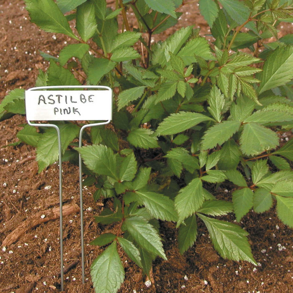 Luster Leaf Classic Impressions Garden 10" Plant Labels | Copper or Zinc 10 Pk. | Zinc
