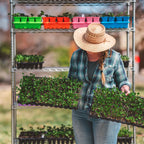 72-Cell Seed Starting Trays | 1 Pack