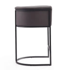 Keir Cosmopolitan Counter Stool by Carbon Loft